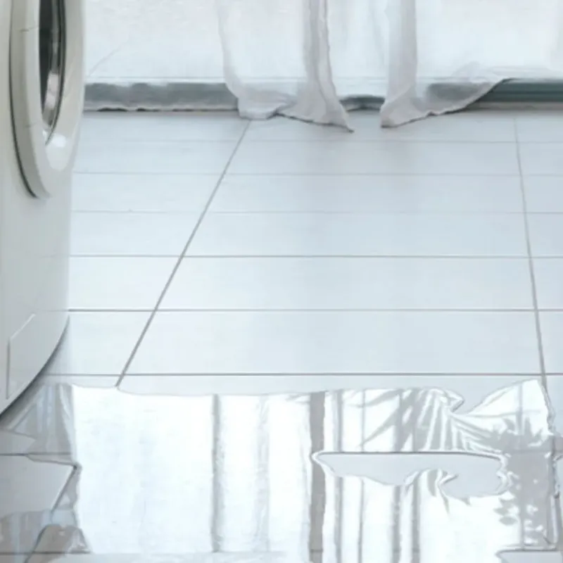 Appliance Leak Cleanup in Elma, WA