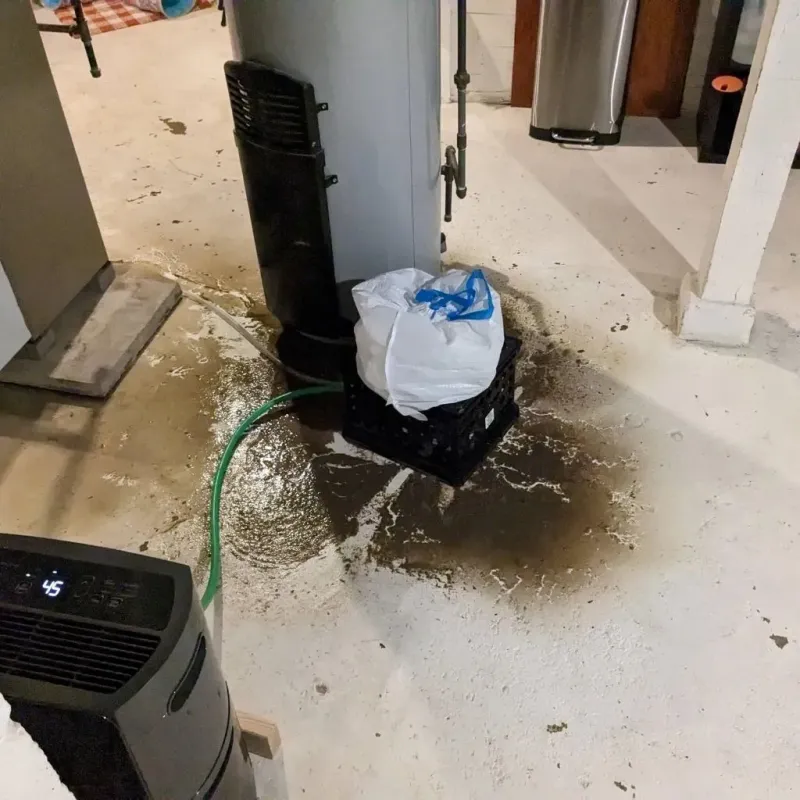 Sewage Backup Cleanup Service in Elma, WA